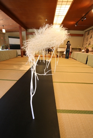 sasae_4