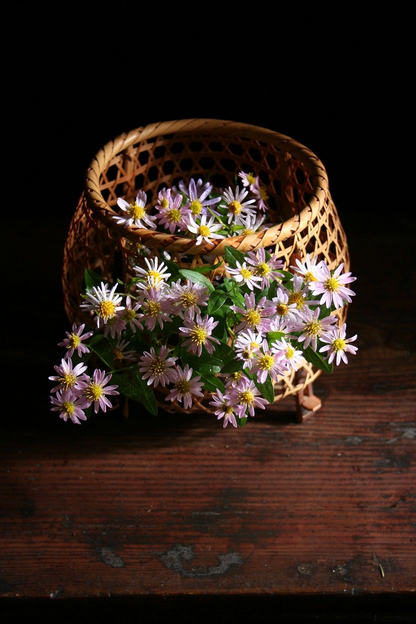 かごめ歌の暗号 妙花抄 三