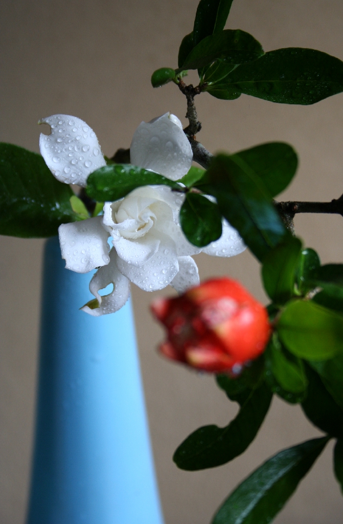 禁花合わせ 妙花抄 三