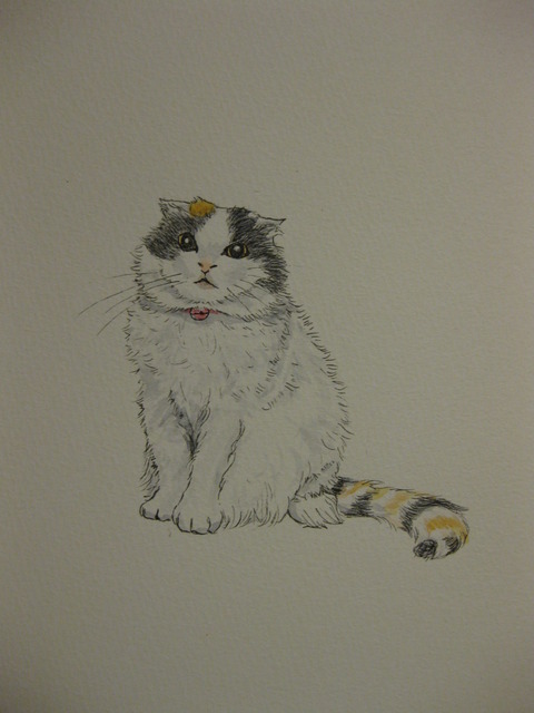 猫の絵を描いてみました : 手仕事が好きな事務員の日々のくらし