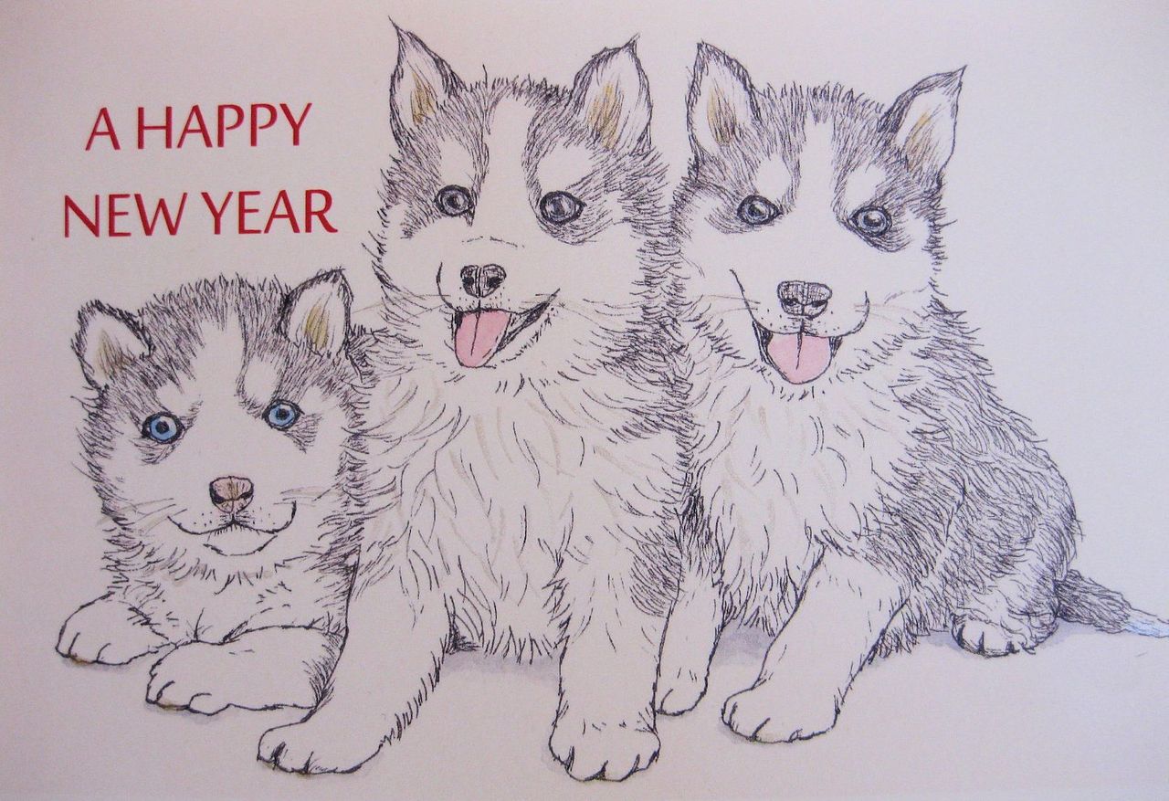 穏やかなお正月 手仕事始め 手仕事が好きな事務員の日々のくらし