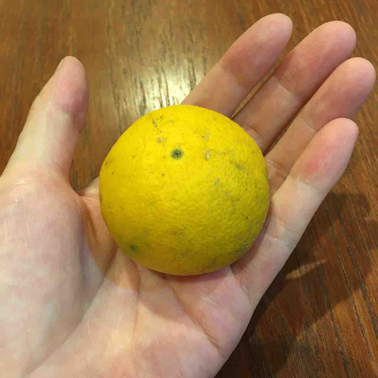 唯一のみかん 手仕事が好きな事務員の日々のくらし