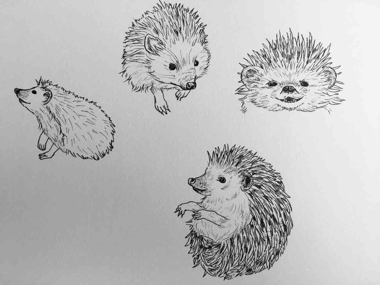 年賀状準備 1 手仕事が好きな事務員の日々のくらし