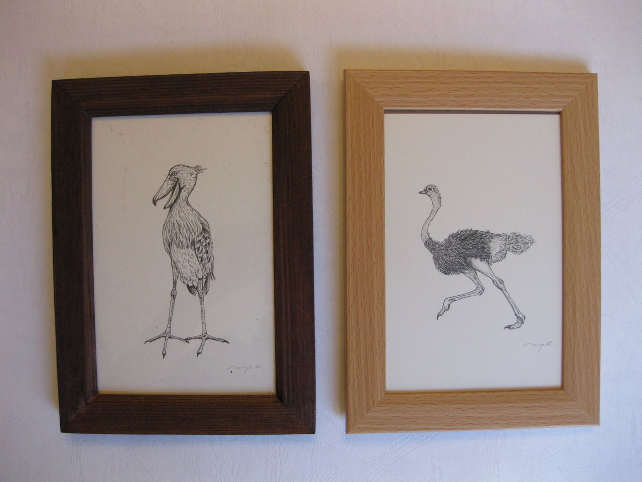 疾走するダチョウの絵を描きました 手仕事が好きな事務員の日々のくらし