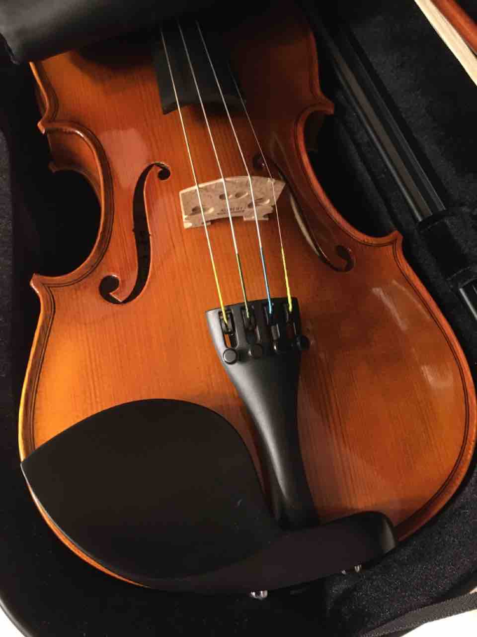 ヴァイオリン練習記1 楽器が持てない 手仕事が好きな事務員の日々のくらし