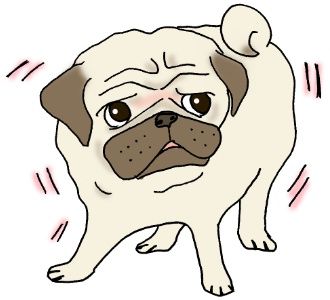 8月9日はパグの日 手仕事が好きな事務員の日々のくらし