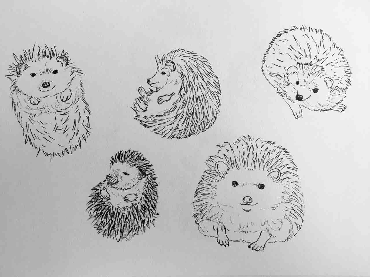 年賀状準備 1 手仕事が好きな事務員の日々のくらし