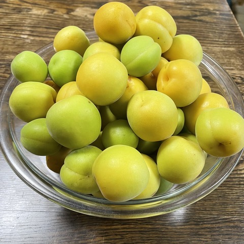 B4A61E78-3299-4319-AA8A-8CB4DCEEABE4