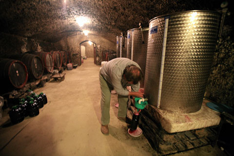 wine1
