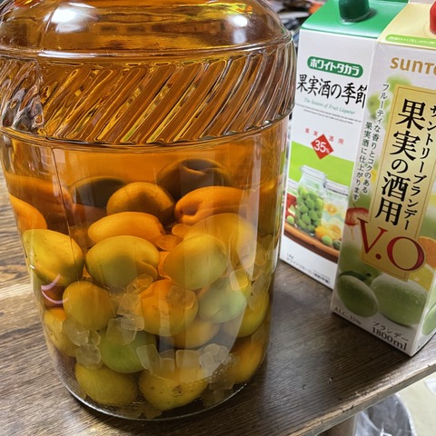 B23561DE-ECFE-4416-A562-FD604F2ED9FF