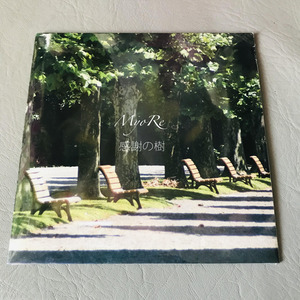 ���դμ�CD�̿�