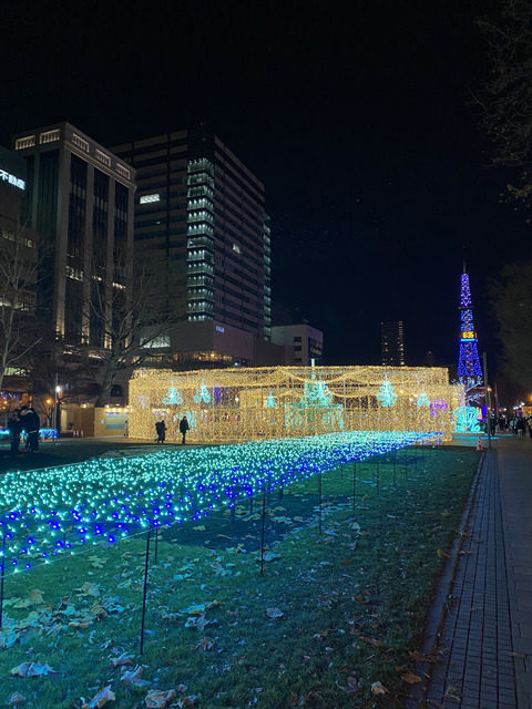 20201206_大通り公園image_67157249