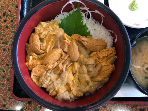 20200927_030147971_iOS