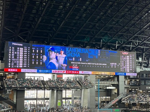 338542128_530838355652196_2493339913182909942_n