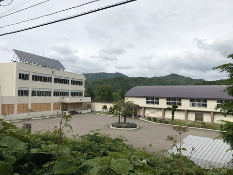 20190716_045448644_w1500