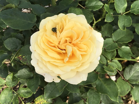 20180720_075405340_iOS