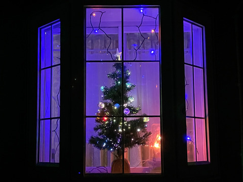 20231205_xmas_tree_2