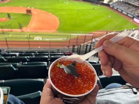 339126503_775498784172568_6132265679552172016_n