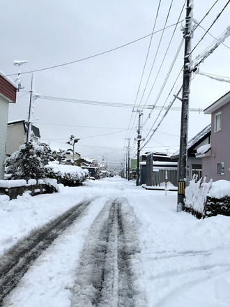 20201110_yuki_tsumoru