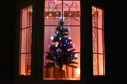 20191202_クリスマスツリー