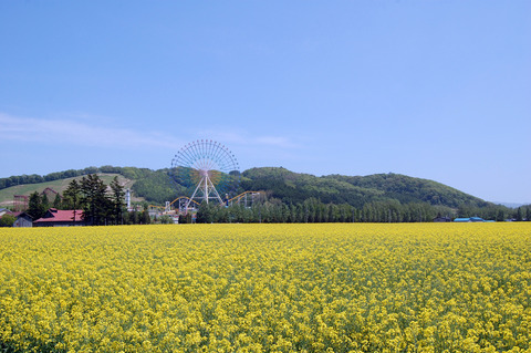 20200601_20140601_nanohana