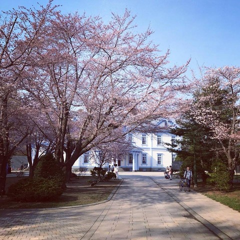 20180429_nakajimapark