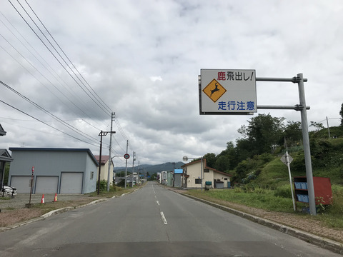 20190716_043515046_w1500