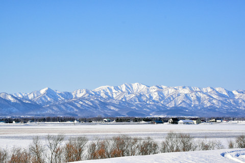 2026_0319_20210315_Kabato_DSC_0619