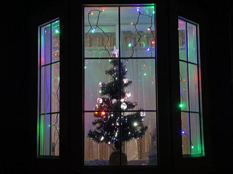 20231205_xmas_tree_1