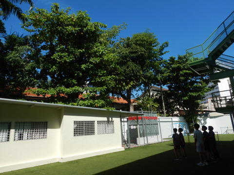 DSCN8379