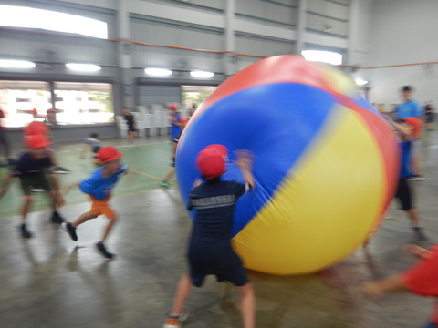 DSCN8075