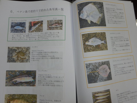 DSCN1020