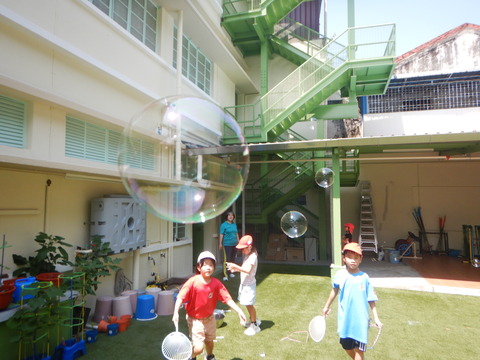 DSCN8893