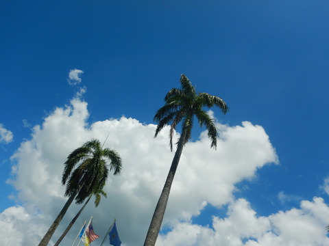 DSCN8843