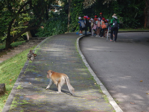 DSCN3151