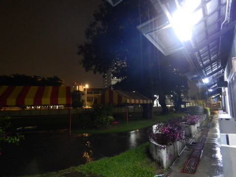 DSCN0594