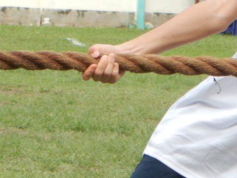 DSCN0674