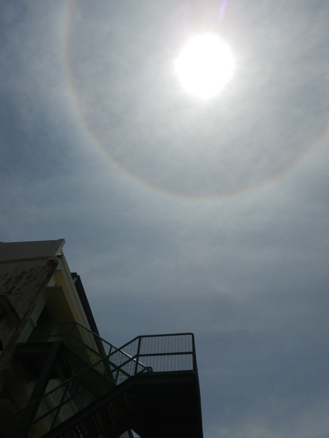 DSCN1642