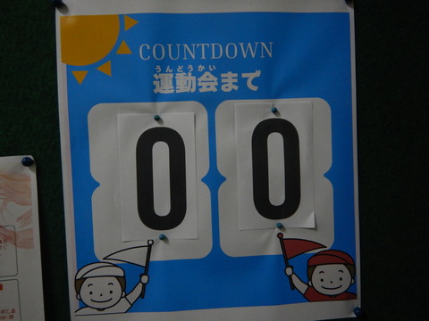 DSCN0590