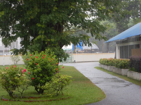 DSCN9395