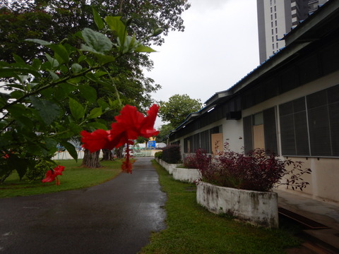 DSCN9378