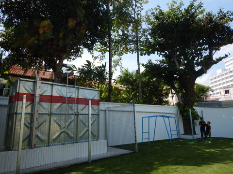 DSCN5278