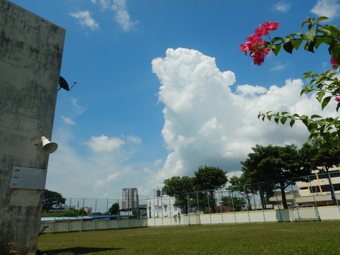 DSCN1086