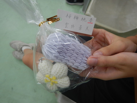 DSCN6718