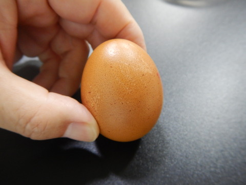 DSCN1022