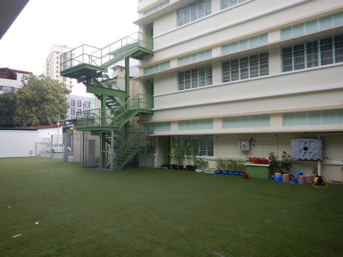 DSCN8131