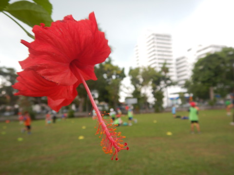 DSCN7356