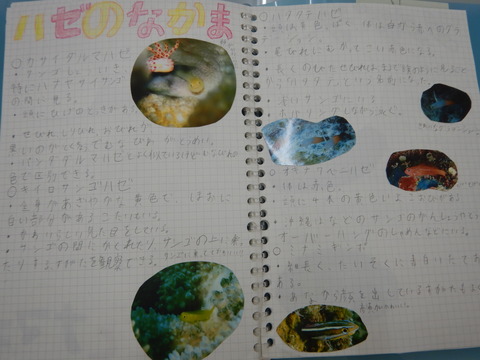 DSCN1467