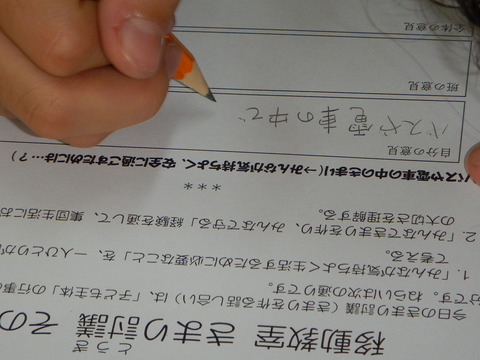 DSCN9691