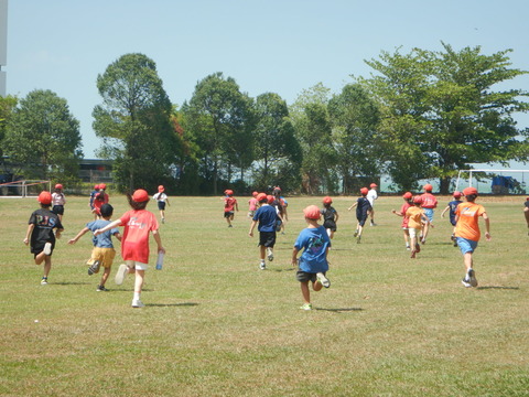 DSCN6528
